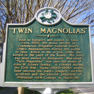 Twin Magnolias